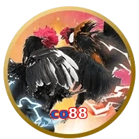 co88